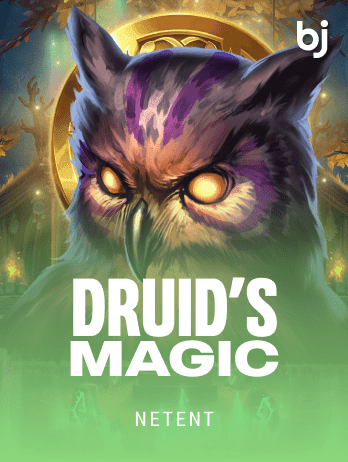 Druid’s Magicpng game cover